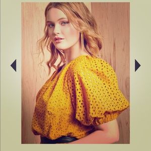 Eloquii puff sleeve eyelet dress